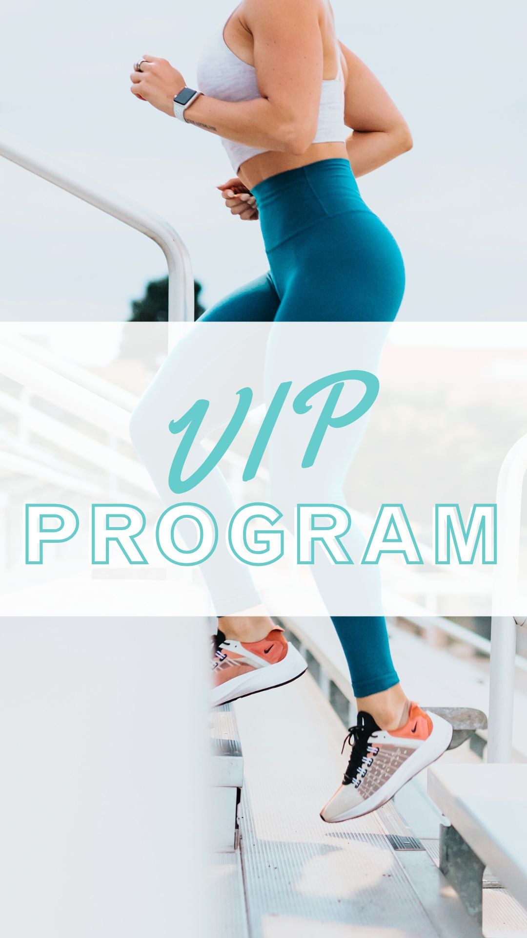 Total Body Transformation